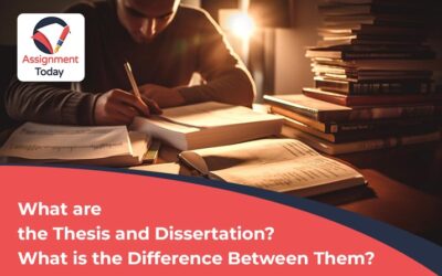 What are the Thesis and Dissertation? What is the Difference Between Them?