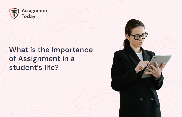 What is the Importance of Assignment in a student’s life?